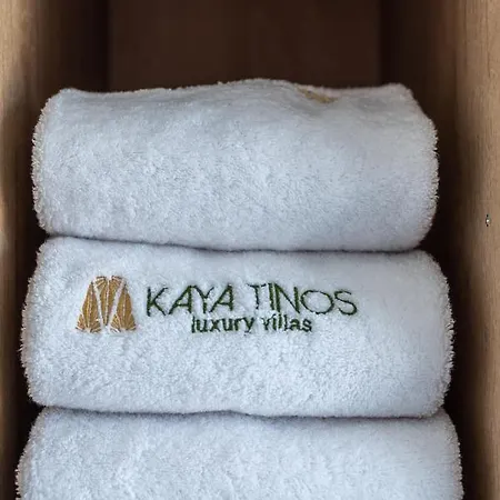 Kaya Tinos Luxury - Aeolus Villa Agios Romanos